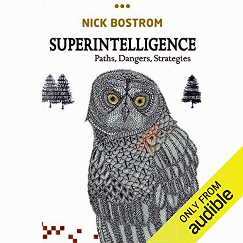 Nick Bostrom: Superintelligence