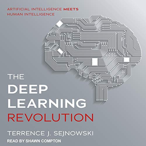 Terrence J. Sejnowski: The Deep Learning Revolution